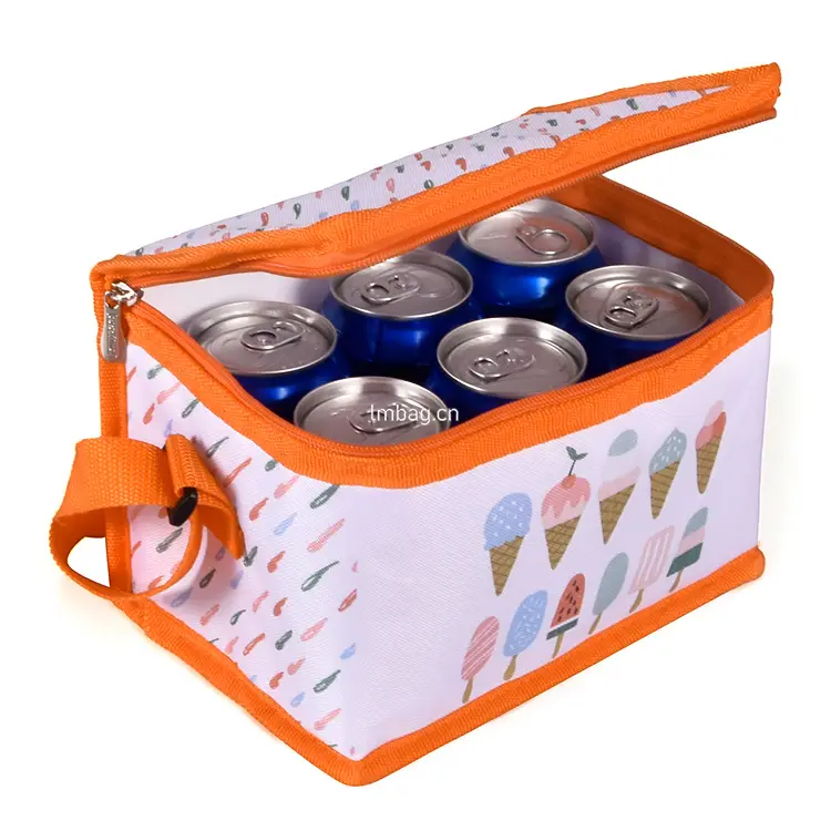 Small Six Pack Cooler Bag